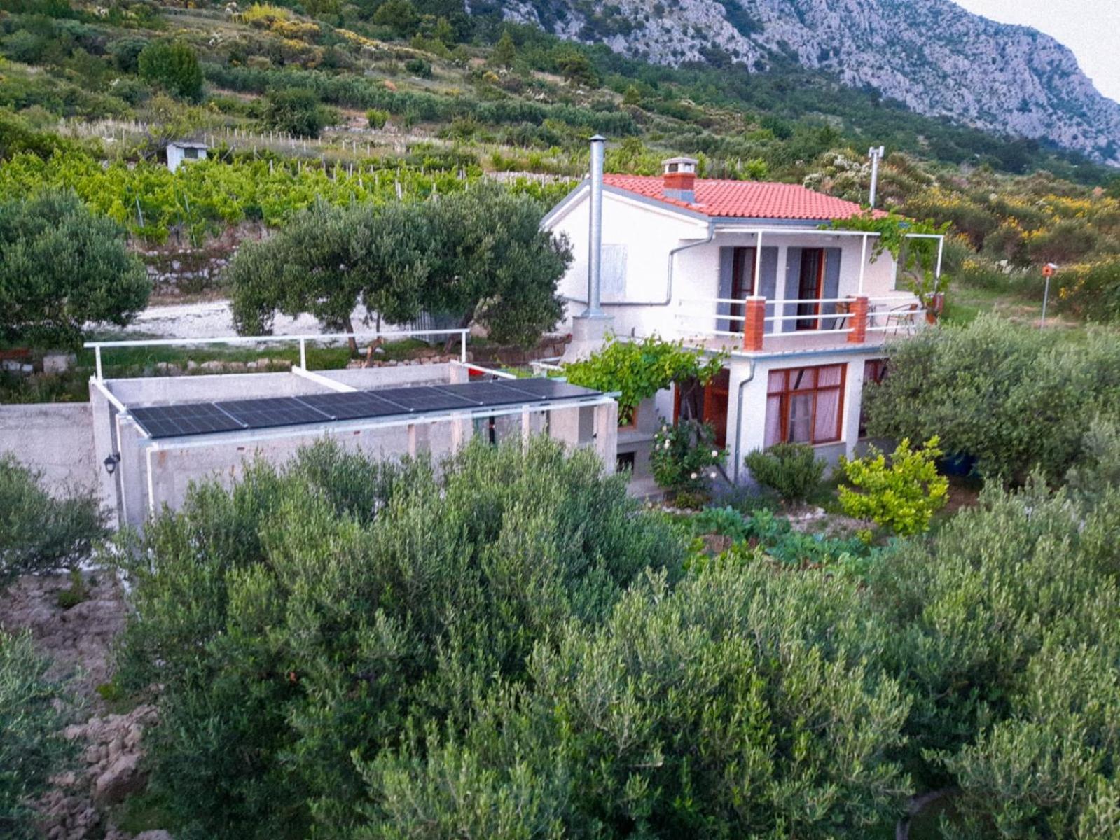 Holiday Home Betty Йесенице Екстериор снимка